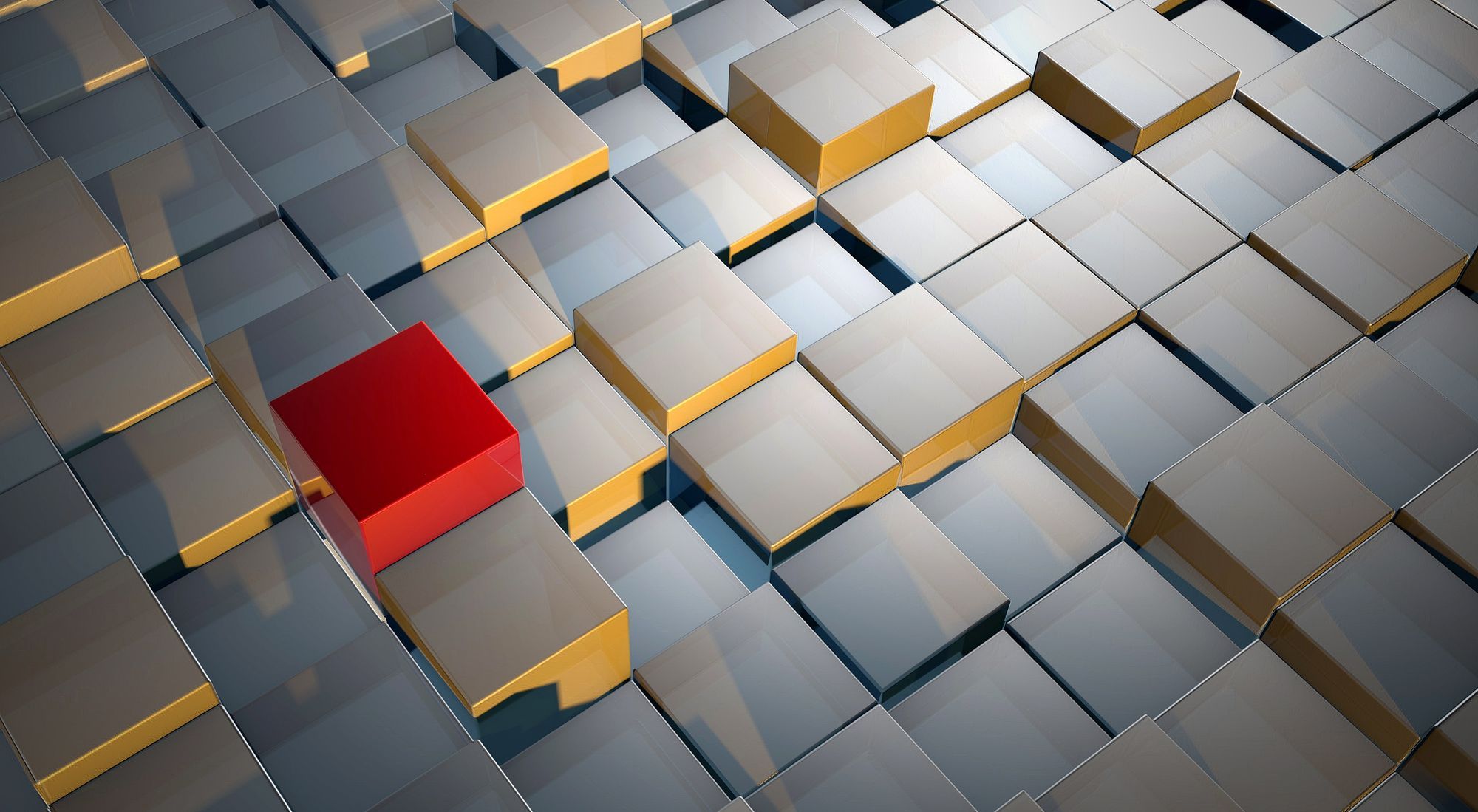 达牛观点|服务物流生意，TMS BaaS（not SaaS！）