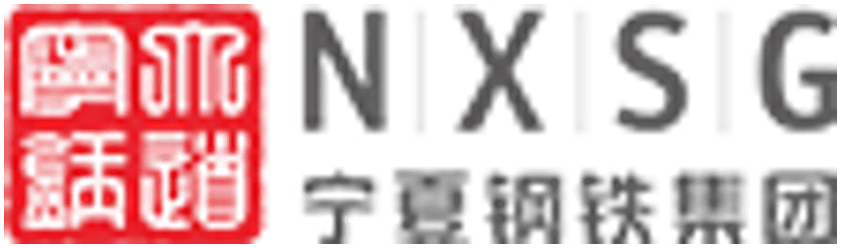 宁夏钢铁集团 logo